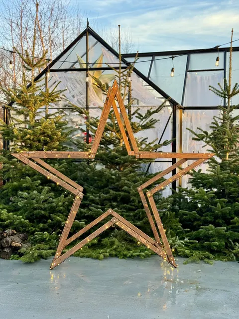 ModoStar-Stern im verschneiten Garten
