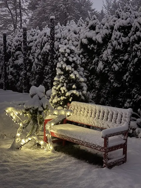 Verschneiter Garten mit ModoStar-Stern