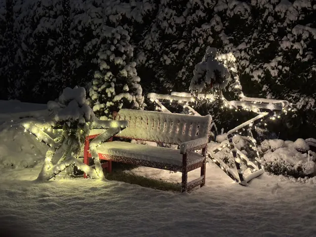 ModoStar-Stern im winterlichen Garten